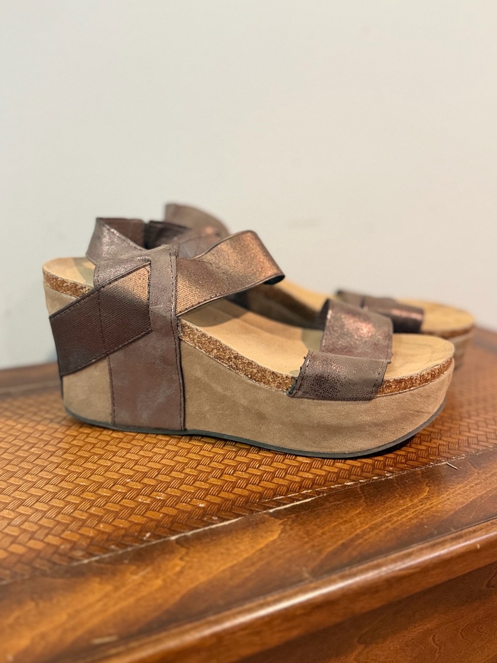 Pierre Dumas Metallic Bronze Platform Wedge Sandals